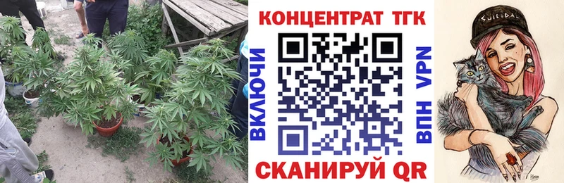 ТГК концентрат  Ртищево 